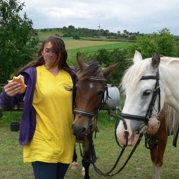 Die Ponys die CV-Ponyfarm in Steinbach 2011 - 42