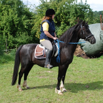 Die Ponys die CV-Ponyfarm in Steinbach 2011 - 44