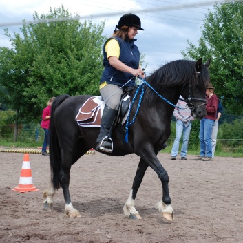 Die Ponys die CV-Ponyfarm in Steinbach 2011 - 53