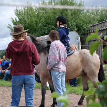 Die Ponys die CV-Ponyfarm in Steinbach 2011 - 57