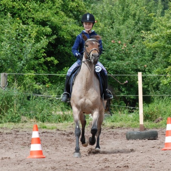 Die Ponys die CV-Ponyfarm in Steinbach 2011 - 62