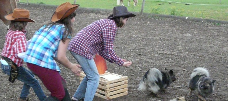 Die betrunkenen Cowboys auf der CV Ponyfarm 2010 - 24