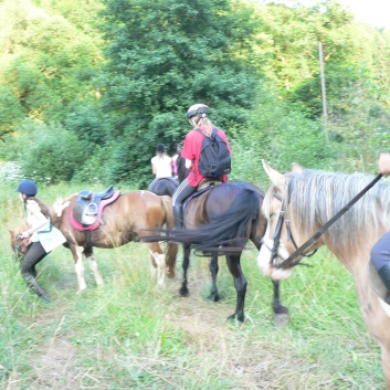 Fuchsjagd der CV-Ponyfarm 2010 - 27
