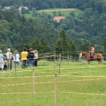 Gelaenderallye Rittigkeit CV-Ponyfarm 2011-04