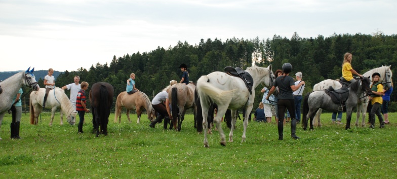 Gelaenderallye Rittigkeit CV-Ponyfarm 2011-05
