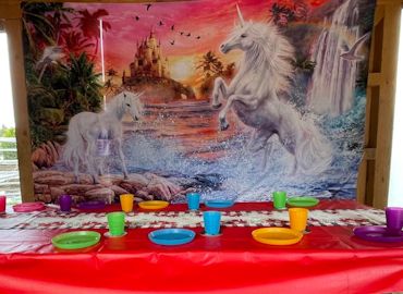Kindergeburtstag mit Ponys auf der CV-Ponyfarm 12