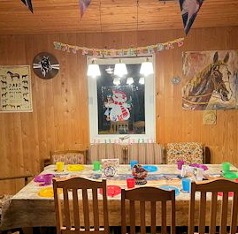 Kindergeburtstag mit Ponys auf der CV-Ponyfarm 13
