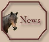 News-CV-Ponyfarm