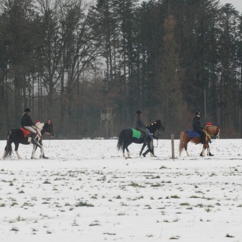 Nikolausumzug der CV-Ponyfarm im Jahr 2010 - 28