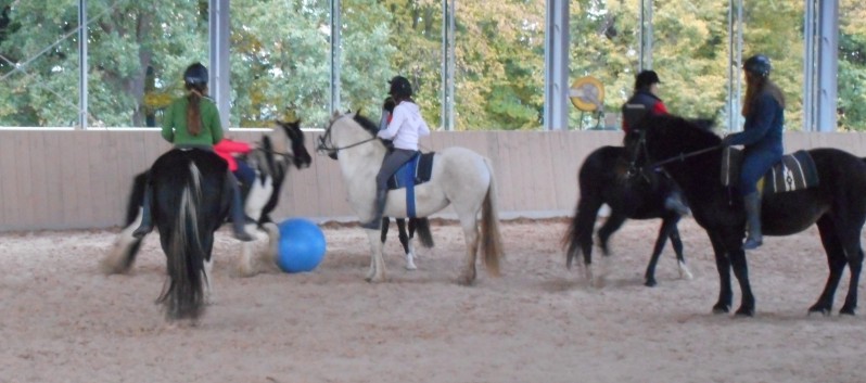 Pferdefussball mit den Ponys der CV Ponyfarm 11