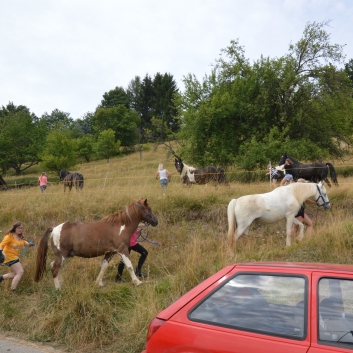 Reiterferien auf der CV-Ponyfarm 2015 - 07