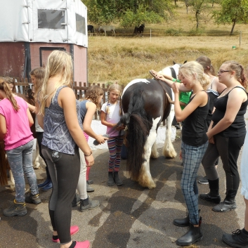 Reiterferien auf der CV-Ponyfarm 2015 - 09