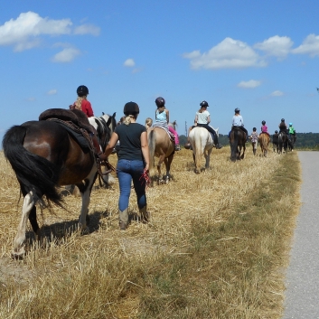 Reiterferien auf der CV-Ponyfarm 2015 - 26
