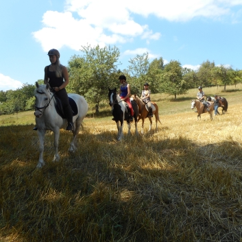 Reiterferien auf der CV-Ponyfarm 2015 - 29
