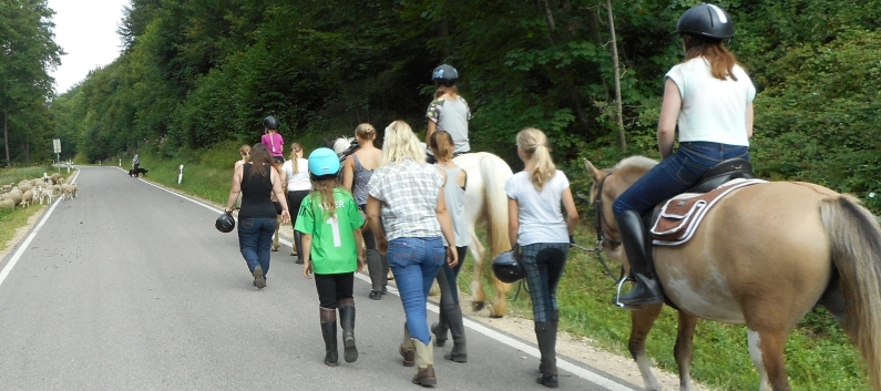Reiterferien auf der CV-Ponyfarm 2015 - 32