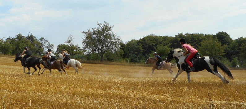 Reiterferien auf der CV-Ponyfarm 2015 - 34