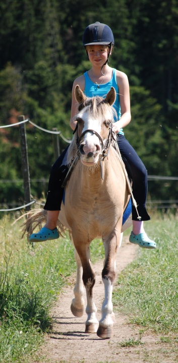 Relaxen und Entspannen auf den Ponys der CV Ponyfarm in Murrhardt - Hinterbüchelberg 01
