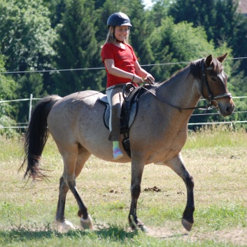 Relaxen und Entspannen auf den Ponys der CV Ponyfarm in Murrhardt - Hinterbüchelberg 04