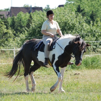 Relaxen und Entspannen auf den Ponys der CV Ponyfarm in Murrhardt - Hinterbüchelberg 05