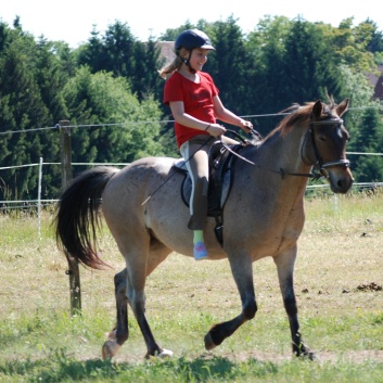 Relaxen und Entspannen auf den Ponys der CV Ponyfarm in Murrhardt - Hinterbüchelberg 09