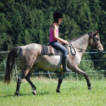 Relaxen und Entspannen auf den Ponys der CV Ponyfarm in Murrhardt - Hinterbüchelberg 16