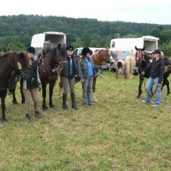 Startbild Turnier Steinbach 2007 - CV Ponyfarm