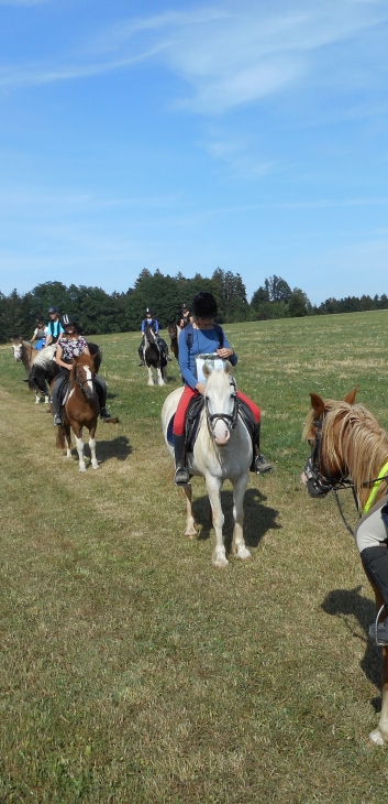 Tagesritt der CV-Ponyfarm nach Spiegelberg 2015 - 02