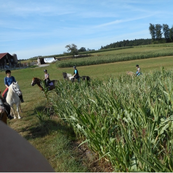Tagesritt der CV-Ponyfarm nach Spiegelberg 2015 - 03