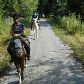 Tagesritt der CV-Ponyfarm nach Spiegelberg 2015 - 10