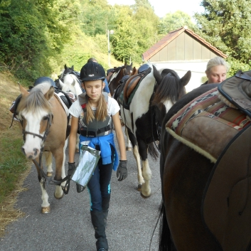 Tagesritt der CV-Ponyfarm nach Spiegelberg 2015 - 14