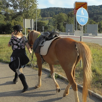 Tagesritt der CV-Ponyfarm nach Spiegelberg 2015 - 17