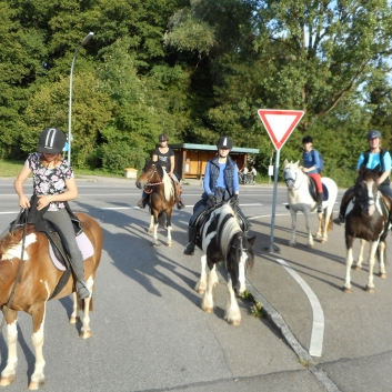 Tagesritt der CV-Ponyfarm nach Spiegelberg 2015 - 19