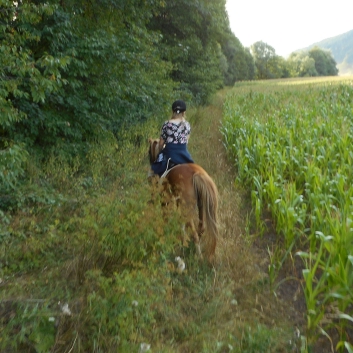 Tagesritt der CV-Ponyfarm nach Spiegelberg 2015 - 20