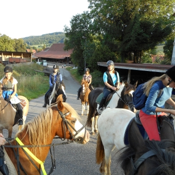 Tagesritt der CV-Ponyfarm nach Spiegelberg 2015 - 23