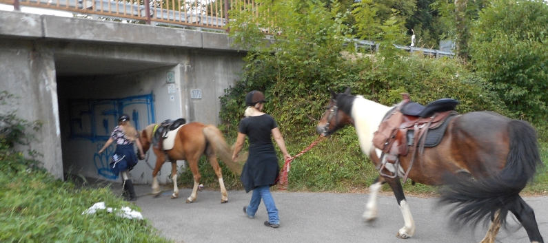 Tagesritt der CV-Ponyfarm nach Spiegelberg 2015 - 26