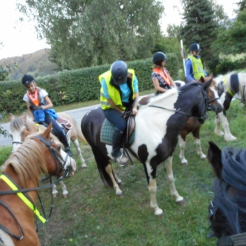 Tagesritt der CV-Ponyfarm nach Spiegelberg 2015 - 28