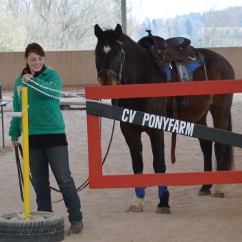 Trailtag der CV Ponyfarm 2013 - 01