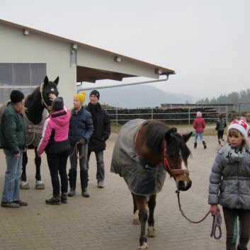 Weihnachtsfeier 2016 mit Ponys und Pferden 04