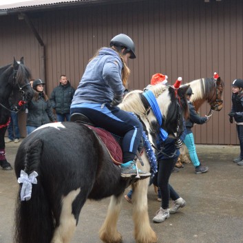 Weihnachtsfeier 2016 mit Ponys und Pferden 13