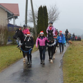 Weihnachtsfeier 2016 mit Ponys und Pferden 15