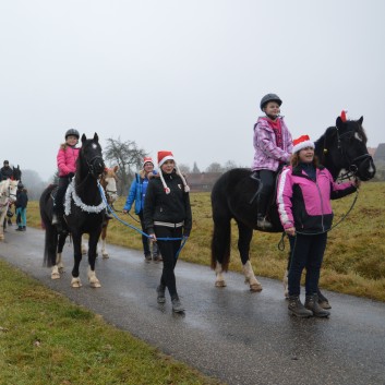 Weihnachtsfeier 2016 mit Ponys und Pferden 18