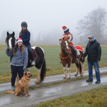 Weihnachtsfeier 2016 mit Ponys und Pferden 23