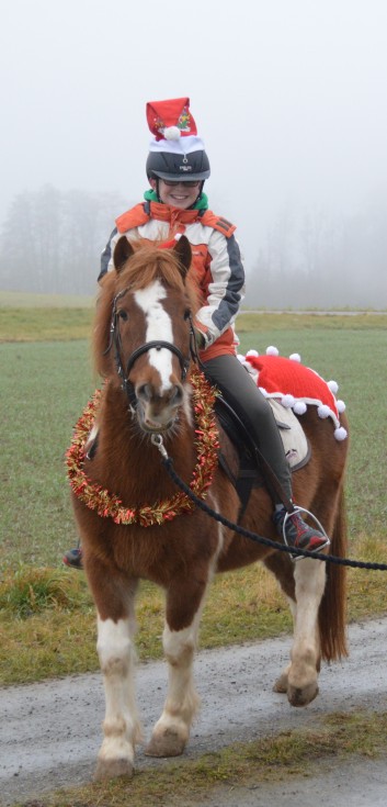 Weihnachtsfeier 2016 mit Ponys und Pferden 24