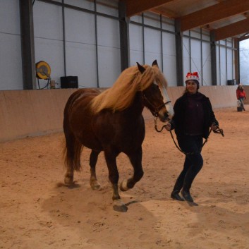 Weihnachtsfeier 2016 mit Ponys und Pferden 41