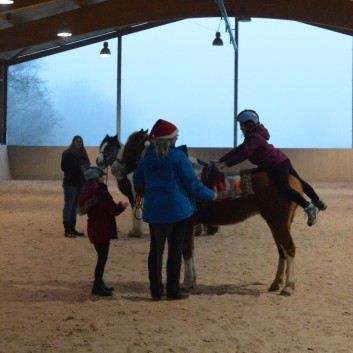 Weihnachtsfeier 2016 mit Ponys und Pferden 47