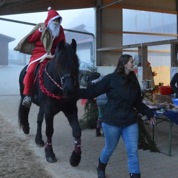 Weihnachtsfeier 2016 mit Ponys und Pferden 53