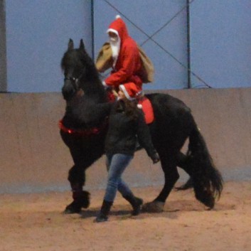 Weihnachtsfeier 2016 mit Ponys und Pferden 54