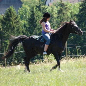 Relaxen und Entspannen auf den Ponys der CV Ponyfarm in Murrhardt - Hinterbchelberg 03