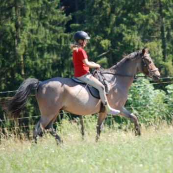 Relaxen und Entspannen auf den Ponys der CV Ponyfarm in Murrhardt - Hinterbchelberg 08