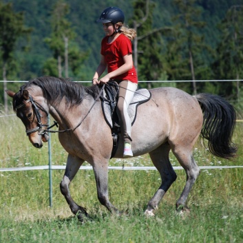 Relaxen und Entspannen auf den Ponys der CV Ponyfarm in Murrhardt - Hinterbchelberg 13